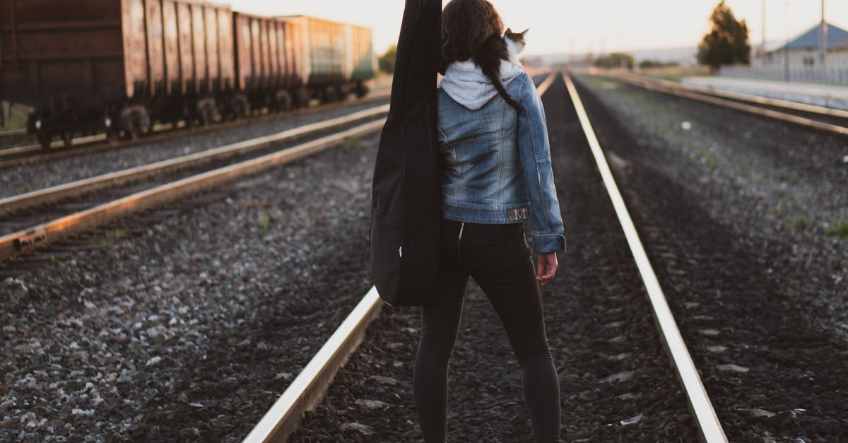 Is there a way to revert Fallout 3 back to a previous version? - Woman Standing on Train Rail