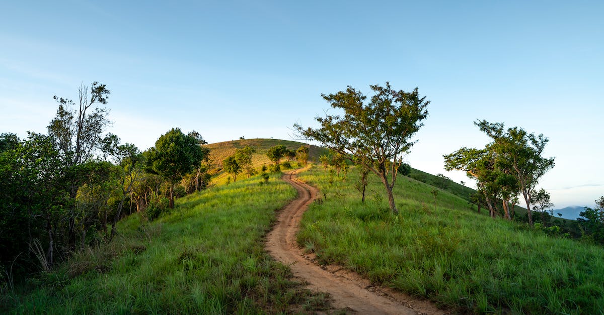 Is there a way to set the field of view (FOV) higher? - Peaceful scenery of rural road going through green grassy field with trees on hill against cloudless blue sky