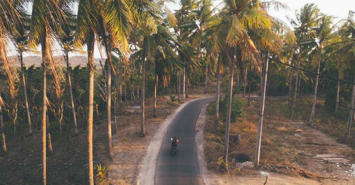 Is there a way to switch back into a werewolf from being a vampire without DLCs? [duplicate] - From above of anonymous person riding motorbike on asphalt road surrounded with tall verdant palms in daytime