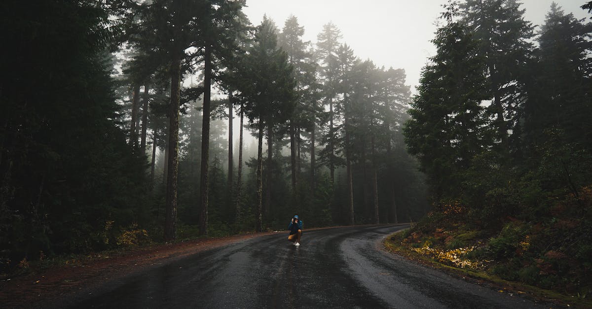 Is there a way to take less fall damage? - Unrecognizable traveler taking photo of empty asphalt road going through coniferous forest on rainy day Is there a way to take less fall damage? - Unrecognizable traveler taking photo of empty asphalt road going through coniferous forest on rainy day