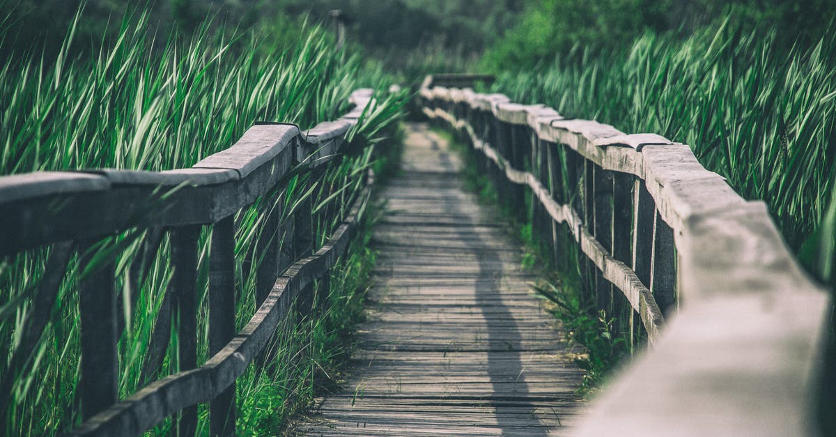 Is there a way to tell how long it will be until my population grows? - Wooden boardwalk between grassy area Is there a way to tell how long it will be until my population grows? - Wooden boardwalk between grassy area