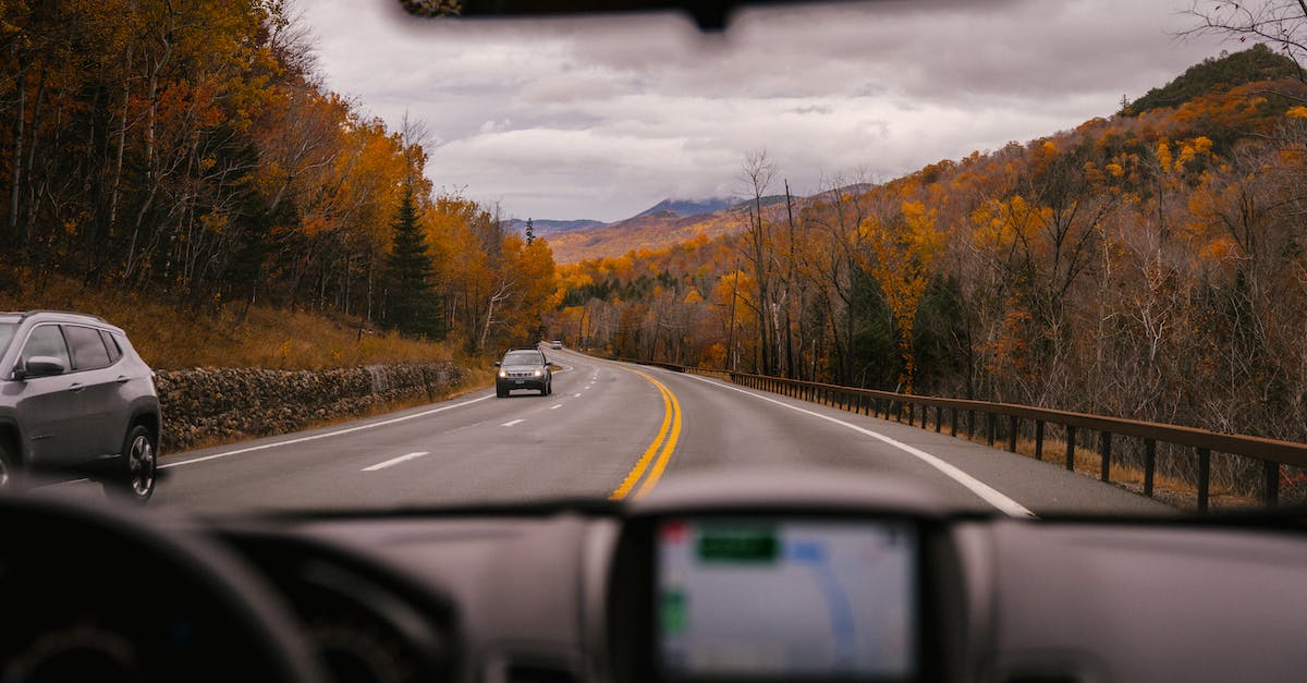 Is there a way to tell when fruit/trees are in season? - Car riding on highway through autumn forest