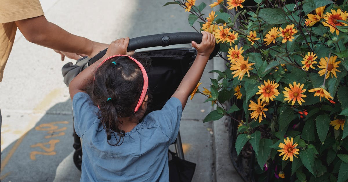 Is there a way to transfer more than one Pokemon at a time? - Unrecognizable ethnic girl pushing carriage Is there a way to transfer more than one Pokemon at a time? - Unrecognizable ethnic girl pushing carriage