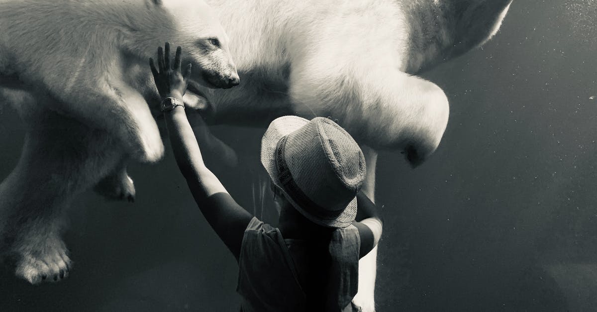Is there an advantage for reaching the sector exit fast? - Woman Reaching Her Hand and Touching the Widow in a Zoo Behind Which Polar Bears Swim 