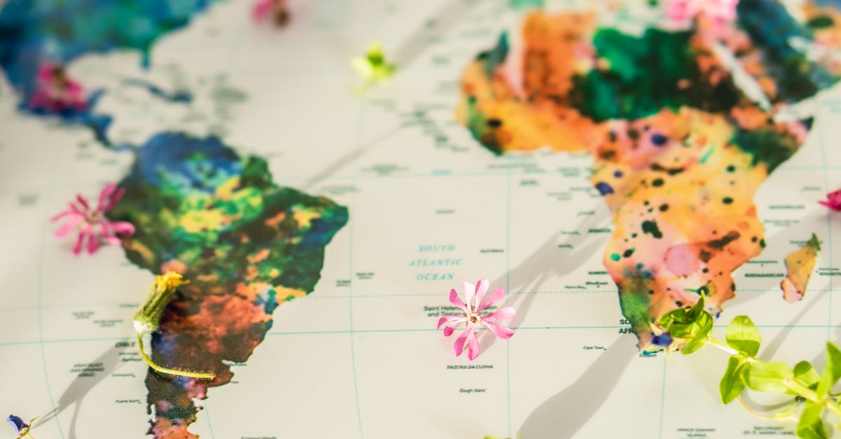 Is there an explanation for why Maleficent can travel between worlds with her green-fire teleport? - Close-up Shot of a Map with Small Pieces of Flowers Is there an explanation for why Maleficent can travel between worlds with her green-fire teleport? - Close-up Shot of a Map with Small Pieces of Flowers