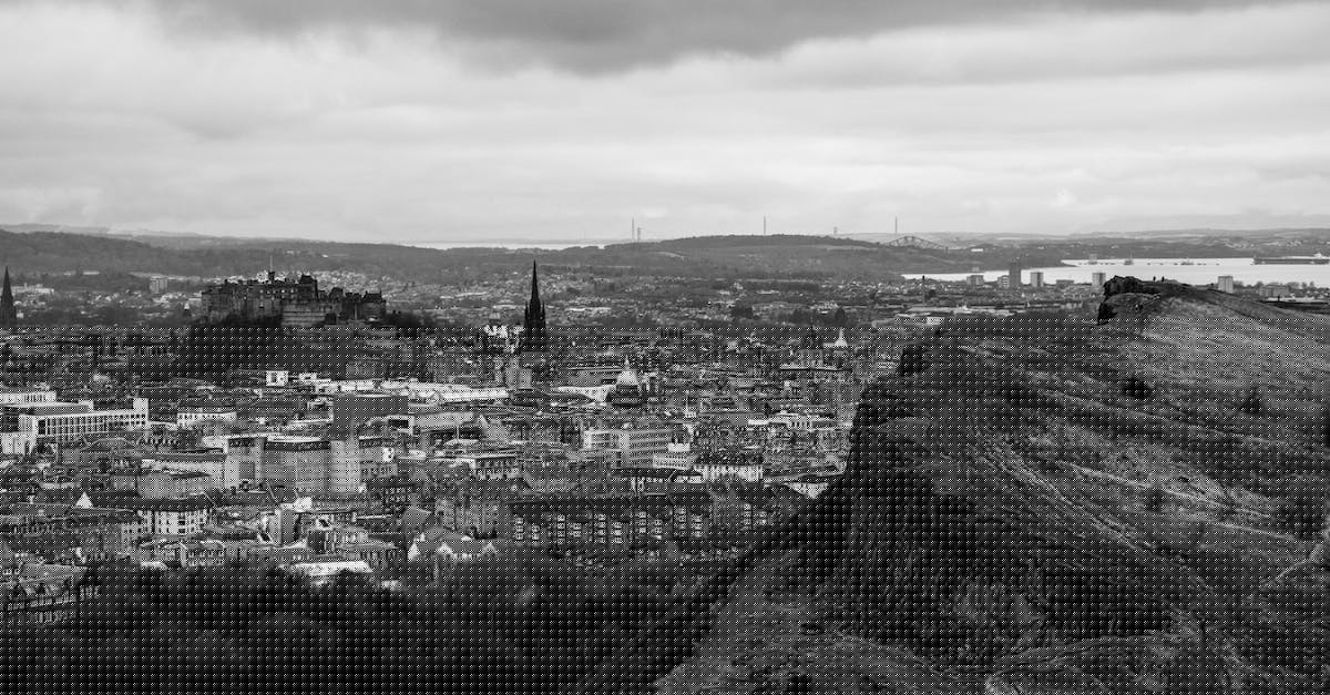 Is there an overall view of your cities? - Woman in Blue Shirt and Black Backpack Standing on Top of Building