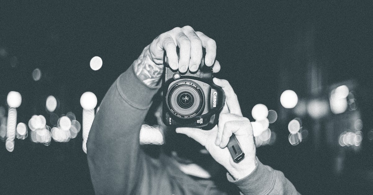 Is there any certain canon about the Ogre Empire? - Person Holding Black Dslr Camera