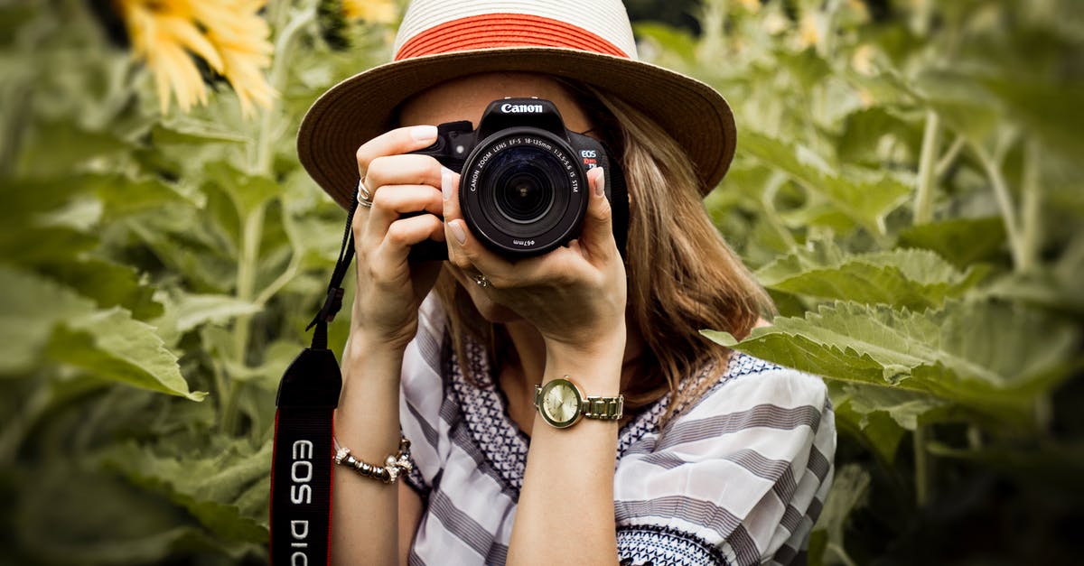 Is there any certain canon about the Ogre Empire? - Selective Focus Photography of Woman Holding Dslr Camera