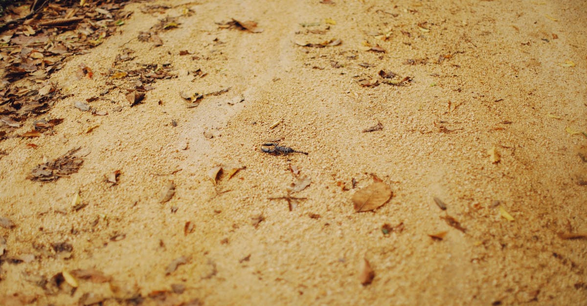 Is there any command that makes fallen sand permanent? - Dried Leaves on Sandy Ground