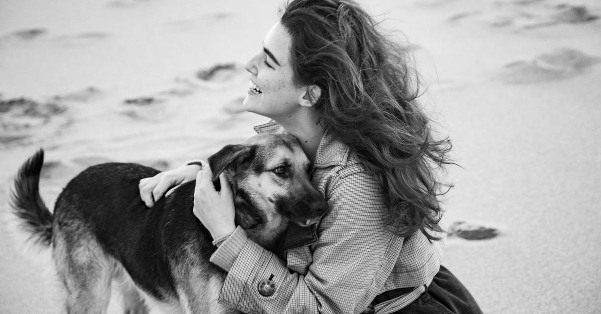 Is there any command that makes fallen sand permanent? - Woman Embracing Dog on Beach Is there any command that makes fallen sand permanent? - Woman Embracing Dog on Beach