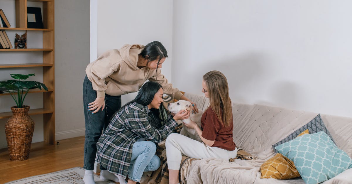 Is there any downside to not recruiting my friends? - Free stock photo of adult, bed, bedroom