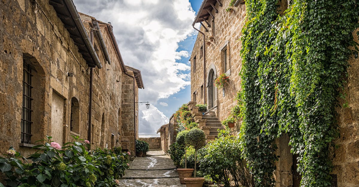 Is there any reason to advance past rank 20? - Concrete Houses Covered With Leaves