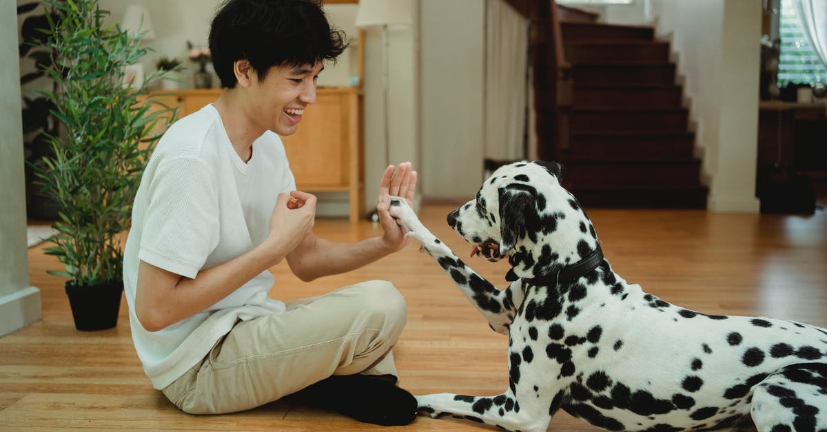 Is there any trick to getting the sneak attack materia - Man in White Crew Neck T-shirt and Brown Pants Sitting Beside Dalmatian Dog