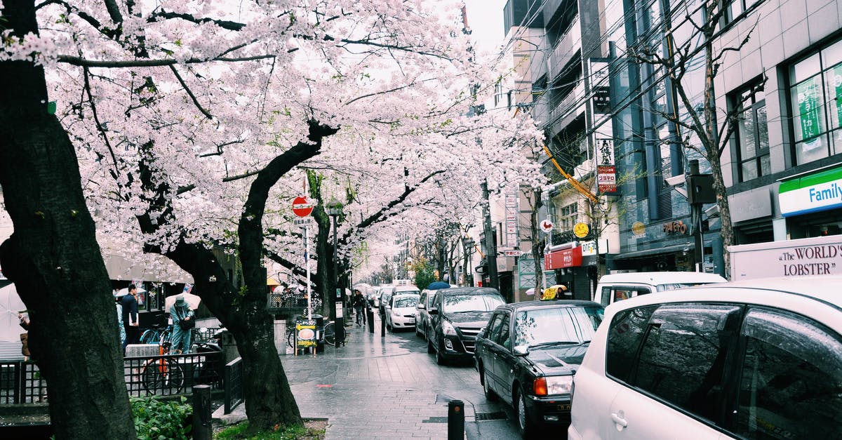 Is there any way a captured but non-ceded city can grow again? - Sakura trees and modern buildings with cars parked on city street under gray sky