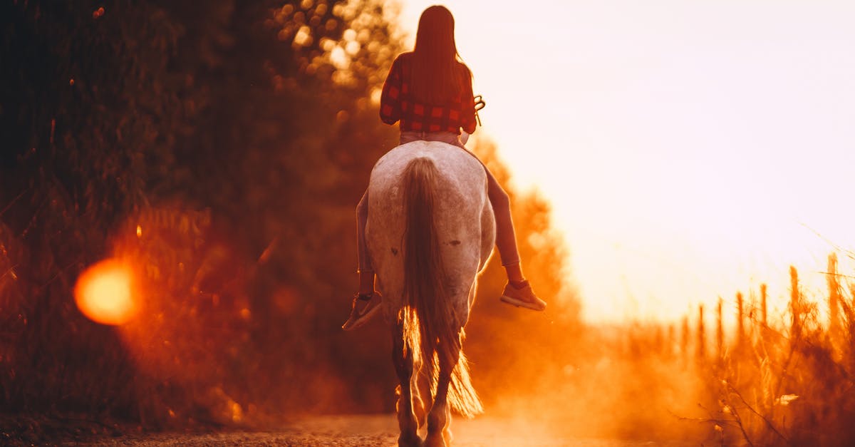 Is there any way I can ride blocks like they were horses? - Back view of anonymous young female in casual clothes riding horse on rural road during sundown in countryside Is there any way I can ride blocks like they were horses? - Back view of anonymous young female in casual clothes riding horse on rural road during sundown in countryside