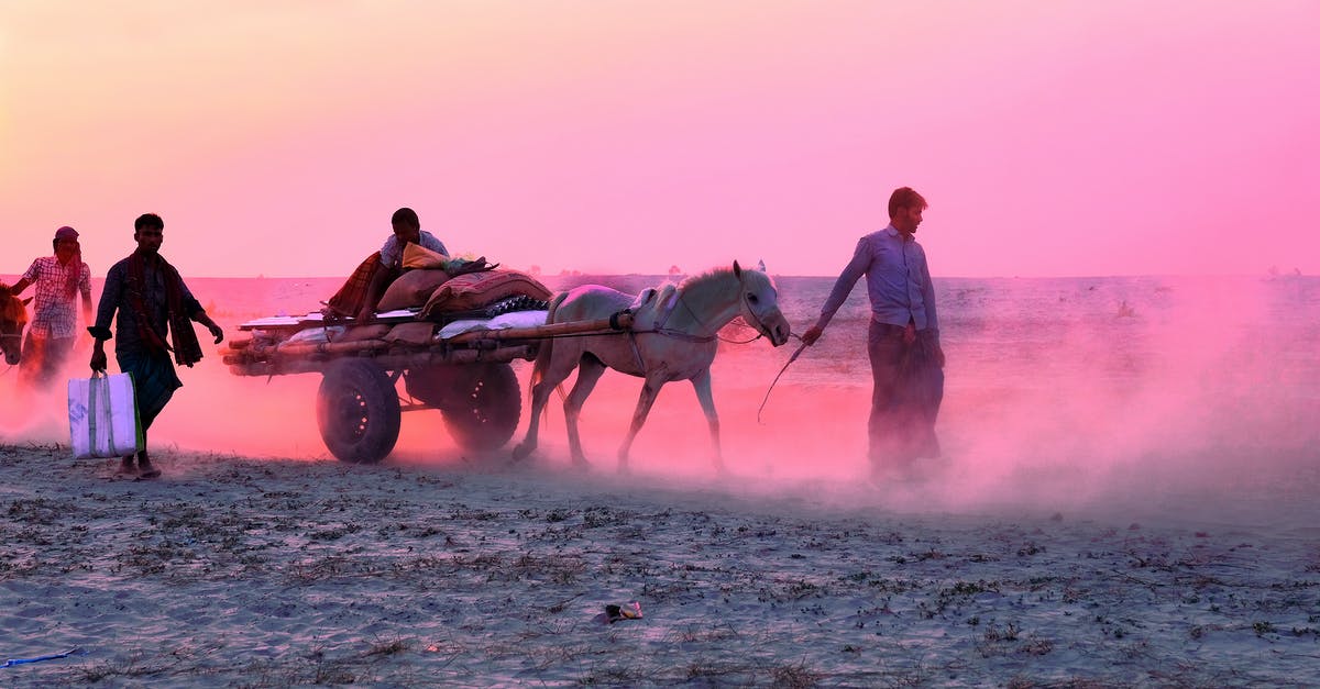Is there any way I can ride blocks like they were horses? - Full length of anonymous people with horse and cart walking on sandy ground under evening sky Is there any way I can ride blocks like they were horses? - Full length of anonymous people with horse and cart walking on sandy ground under evening sky