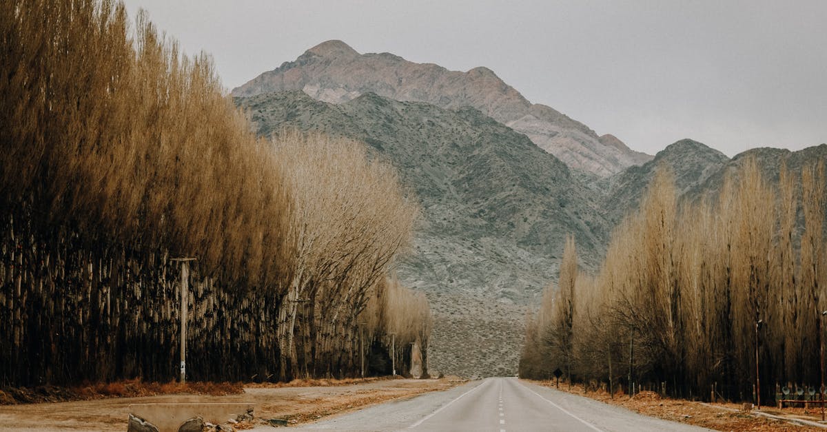 Is there any way to clip built objects into scenery objects? - Straight empty asphalt road going through forest with leafless trees towards mountains against cloudy sky in autumn