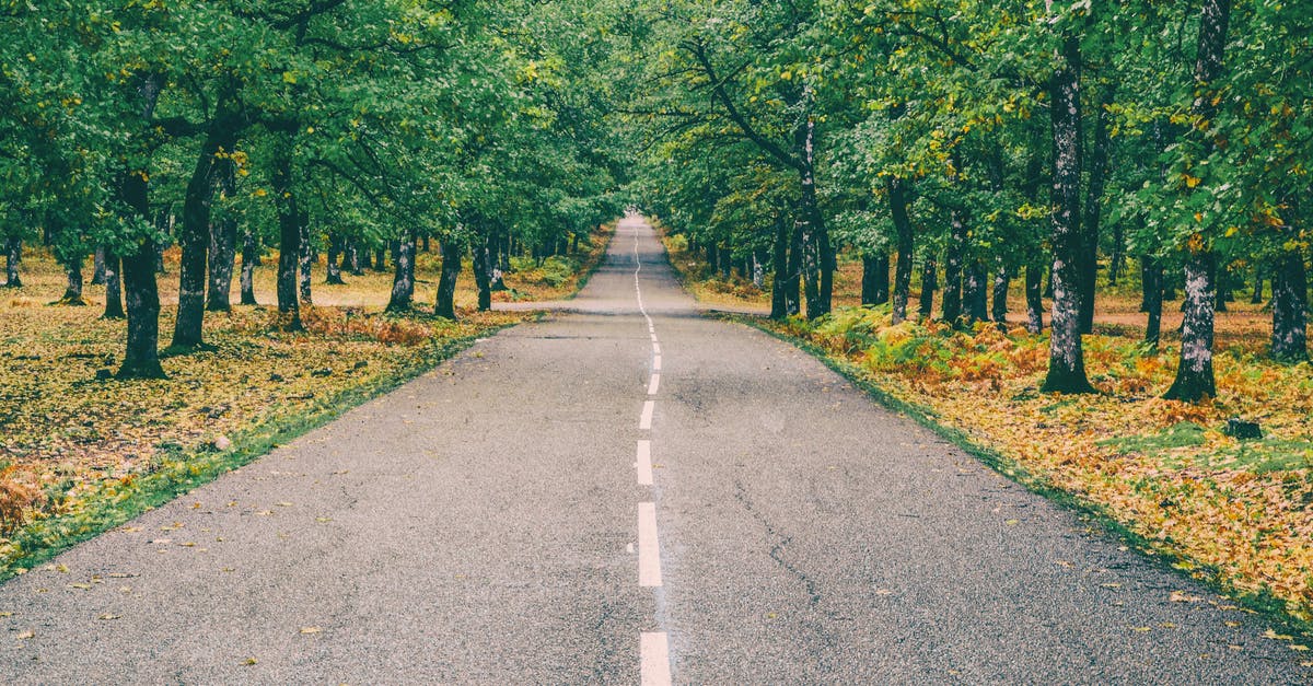 Is there any way to clip built objects into scenery objects? - Highway in the Middle of Forest Is there any way to clip built objects into scenery objects? - Highway in the Middle of Forest