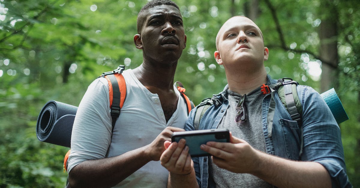 Is there any way to find spawn points? - From below of diverse lost travelers with backpacks exploring woodland and searching way in cellphone Is there any way to find spawn points? - From below of diverse lost travelers with backpacks exploring woodland and searching way in cellphone