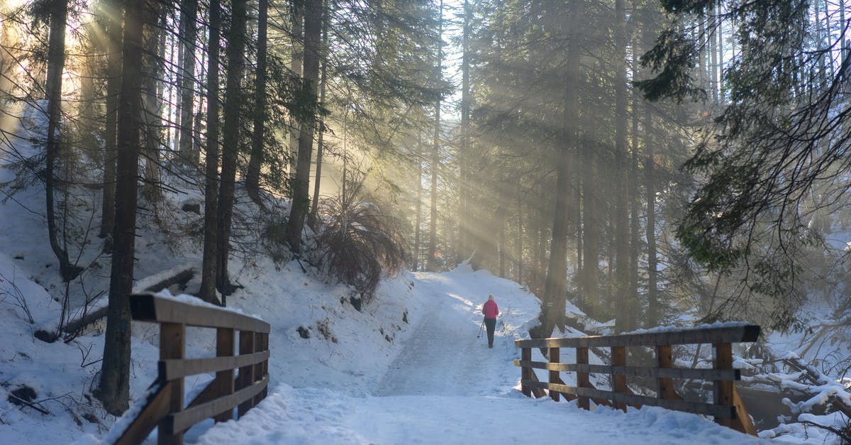 Is there any way to get snow layers to light up properly? - Person in Red Jacket Walking on Snow Covered Ground