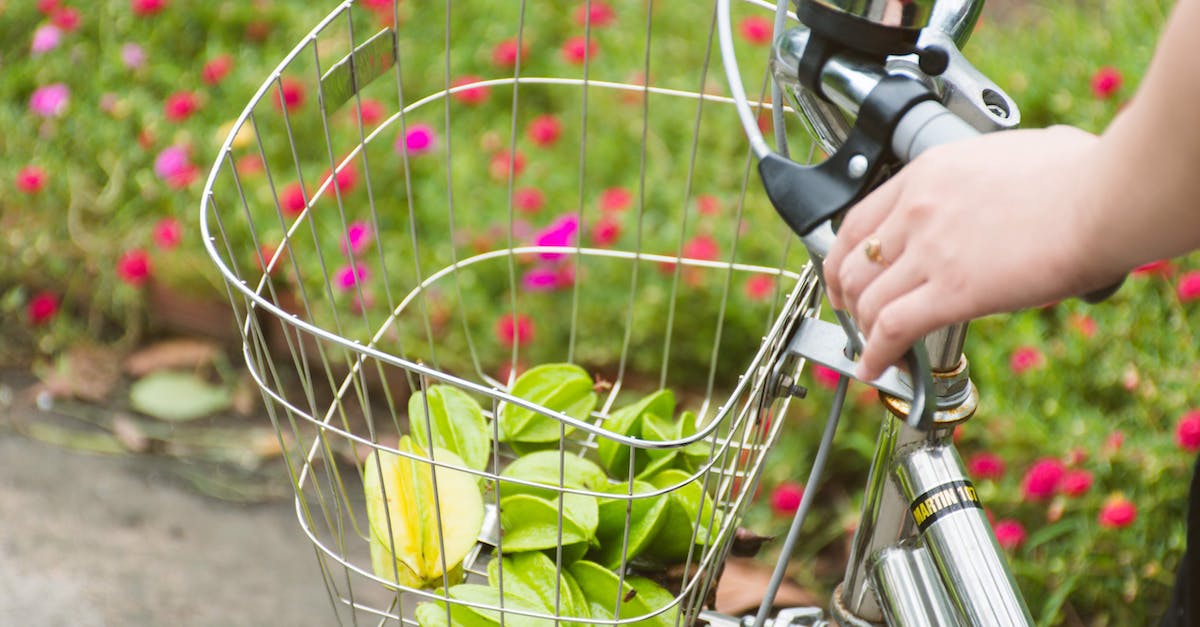 Is there any way to improve the gross CC/cycle gained from exploited systems? - From above of anonymous woman riding bicycle on road through green meadow with flowers and transporting in basket green Carambola on summer day Is there any way to improve the gross CC/cycle gained from exploited systems? - From above of anonymous woman riding bicycle on road through green meadow with flowers and transporting in basket green Carambola on summer day
