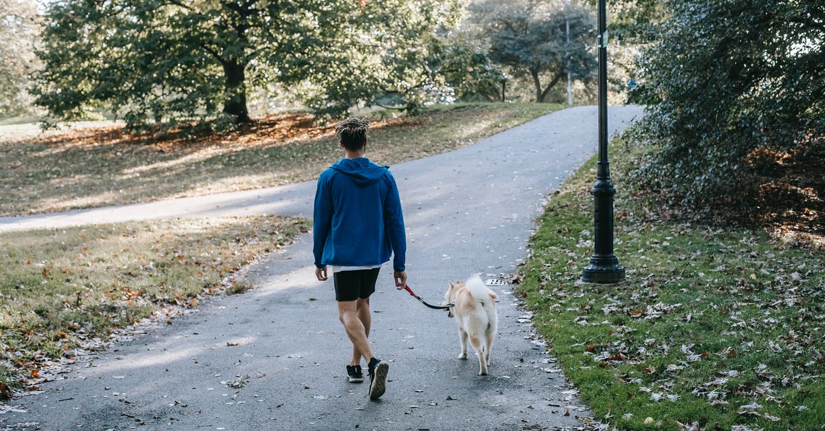 Is there any way to kill a companion permanently in the standard game modes? - Anonymous guy with purebred dog walking in green park Is there any way to kill a companion permanently in the standard game modes? - Anonymous guy with purebred dog walking in green park