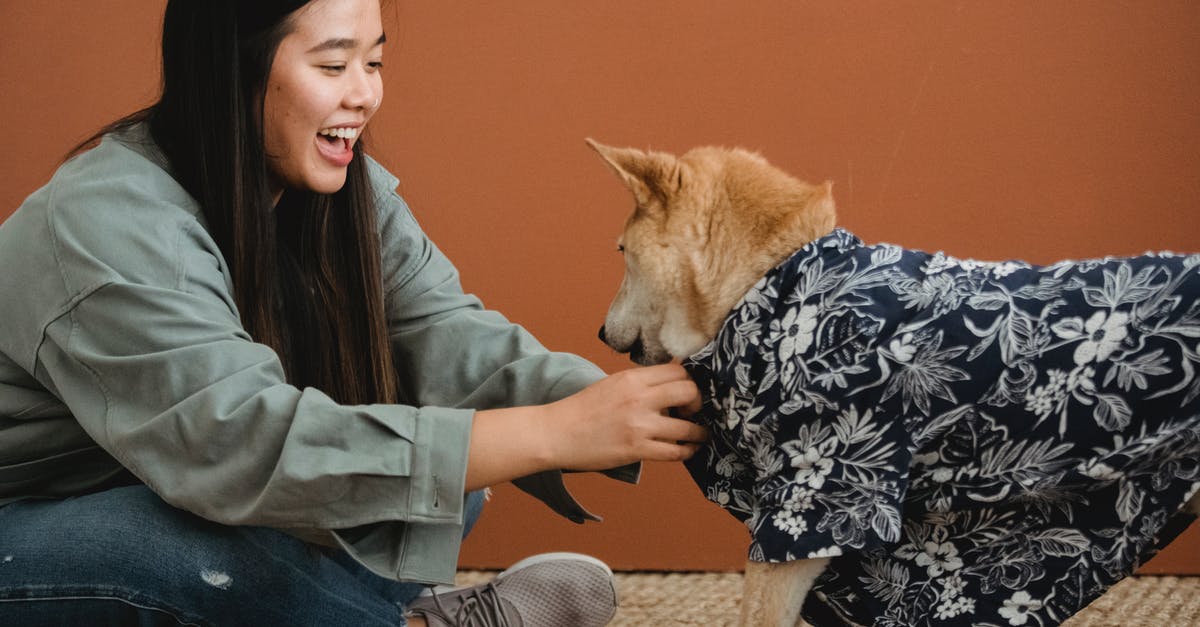 Is there any way to kill a companion permanently in the standard game modes? - Side view of expressive Asian female owner dressing dog while sitting with crossed legs on floor Is there any way to kill a companion permanently in the standard game modes? - Side view of expressive Asian female owner dressing dog while sitting with crossed legs on floor
