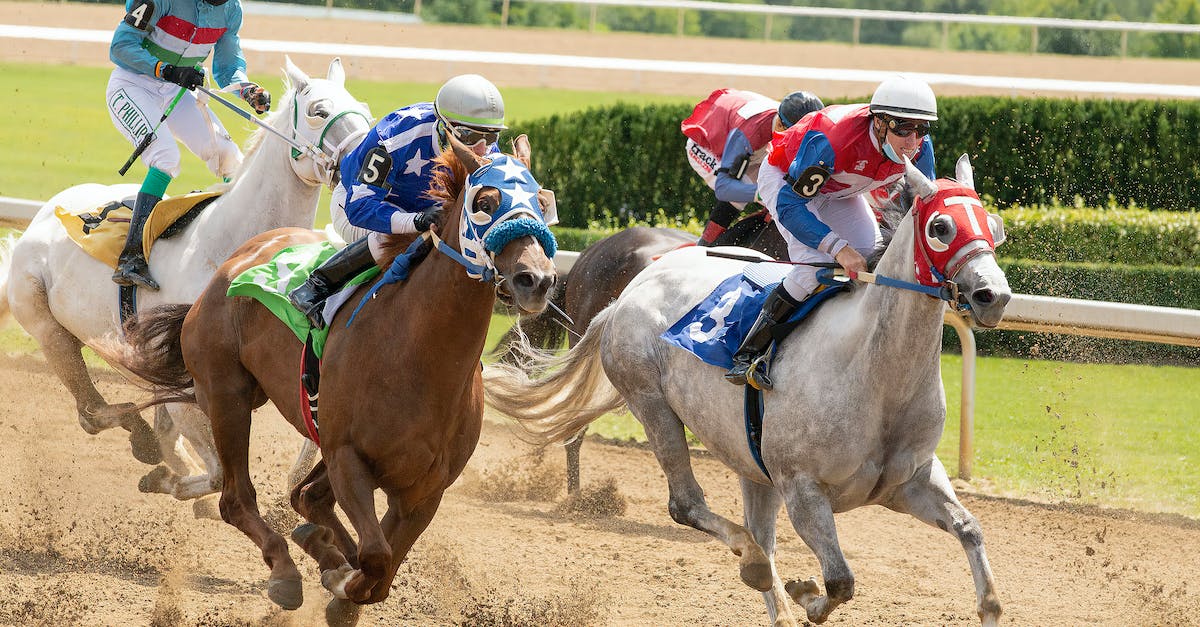 Is there any way to make horses unable to jump? - Men Riding on Horses on Race Is there any way to make horses unable to jump? - Men Riding on Horses on Race