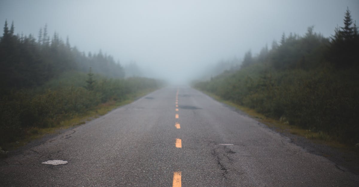 Is there any way to set the trigger element to be Theta for the direction switchers? - Empty asphalt roadway with yellow intermittent markings surrounded by green trees in foggy day