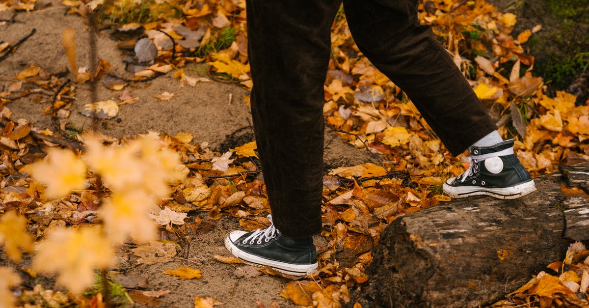 Is there any way to start Steam in offline mode without logging in first? - Faceless person walking in forest in daytime