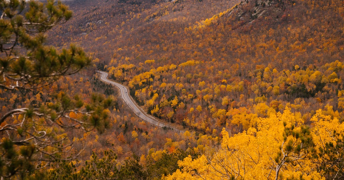 Is this fall from Firelink Shrine to Valley of Drakes survivable? - From above of long narrow snaking road surrounded by green and yellow trees on slope under clouds in autumn Is this fall from Firelink Shrine to Valley of Drakes survivable? - From above of long narrow snaking road surrounded by green and yellow trees on slope under clouds in autumn
