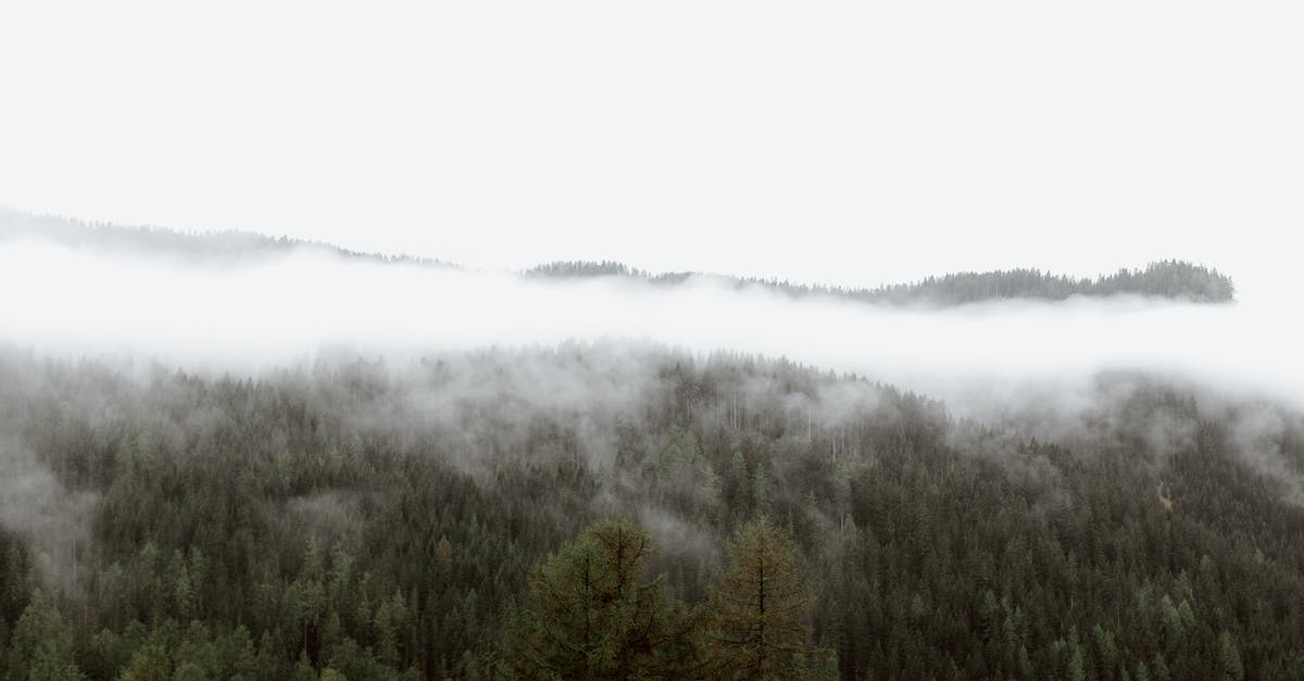 Is this fall from Firelink Shrine to Valley of Drakes survivable? - Mist above trees in mountain forest Is this fall from Firelink Shrine to Valley of Drakes survivable? - Mist above trees in mountain forest