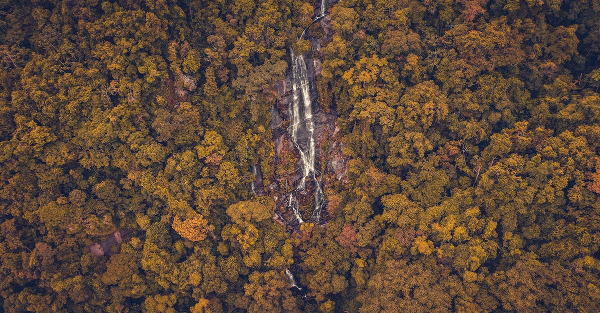 Is this fall from Firelink Shrine to Valley of Drakes survivable? - Waterfall in lush woodland on slope Is this fall from Firelink Shrine to Valley of Drakes survivable? - Waterfall in lush woodland on slope