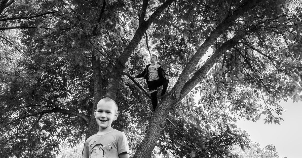 Is Wordle always beatable under optimal play? - Kids Playing on a Tree