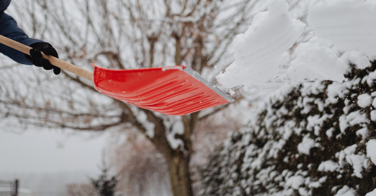 It is possible to get tier demoted on season 5? - Free stock photo of christmas, cold, frost