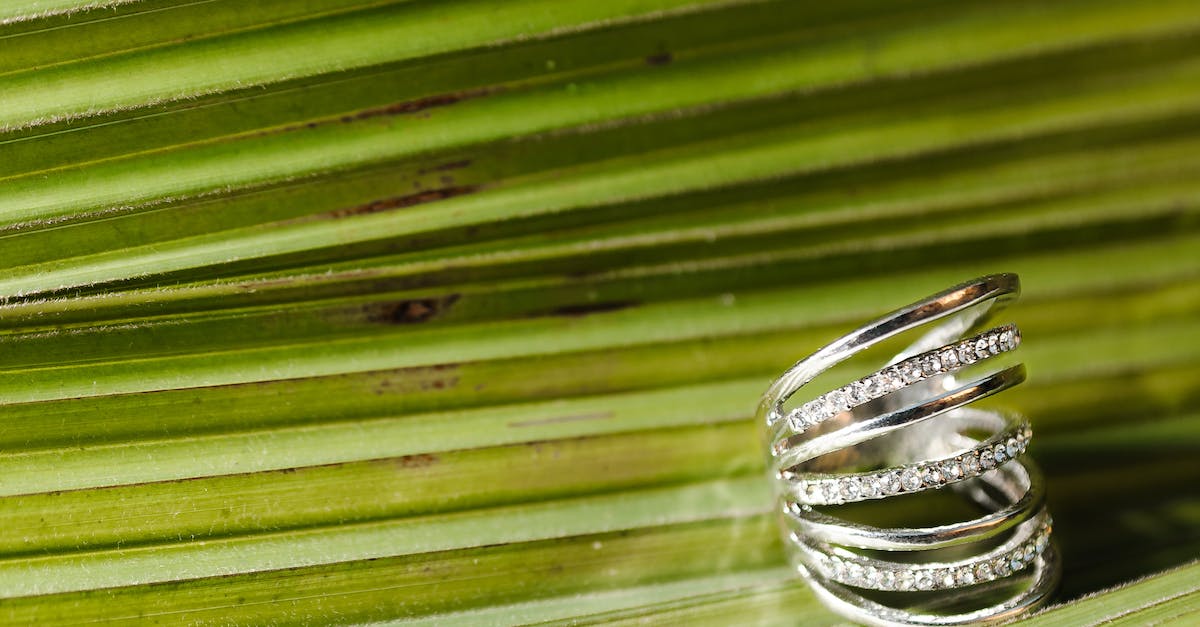It is possible to get tier demoted on season 5? - Tiered glimmering silver ring with jewels on fresh green leaf of plant in summer