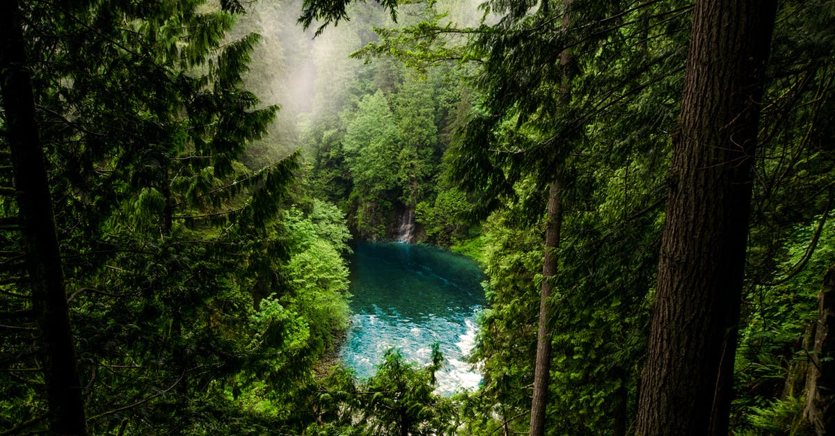 Joining parks in Dragonvale - Body of Water in Forest Joining parks in Dragonvale - Body of Water in Forest