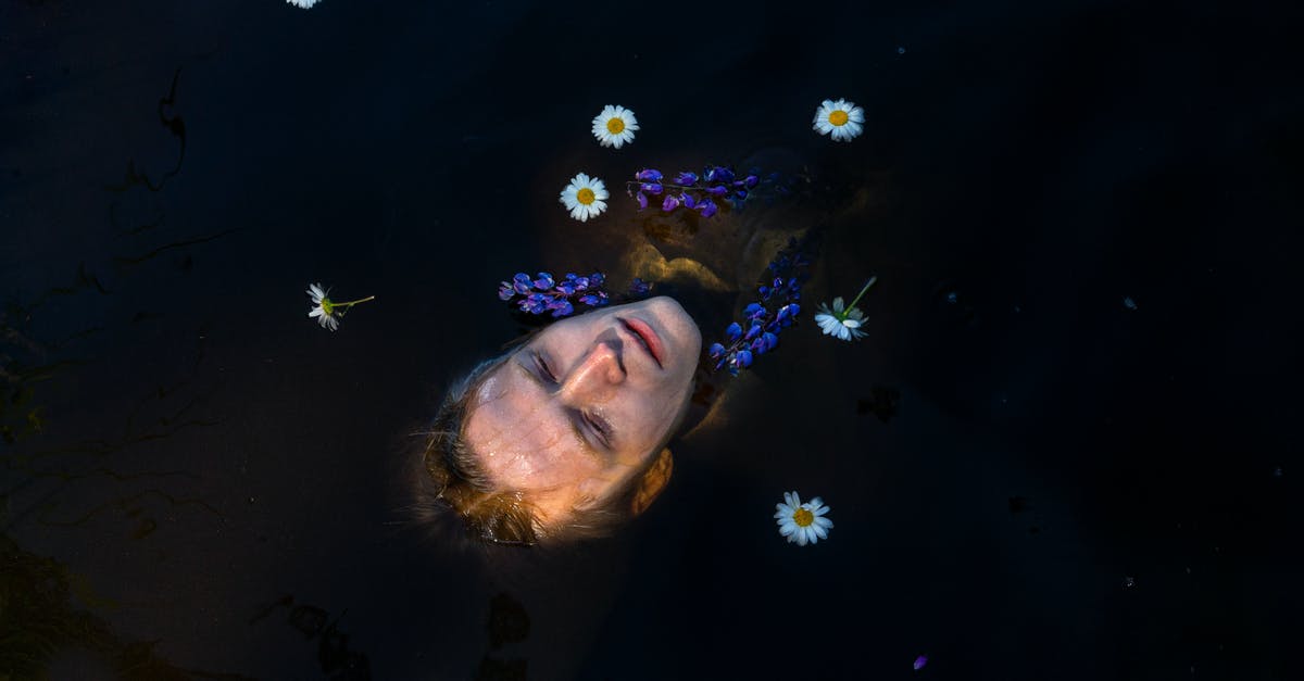 Keep chaperone walls always visible while in SteamVR? - Head of man lying on water with flowers Keep chaperone walls always visible while in SteamVR? - Head of man lying on water with flowers