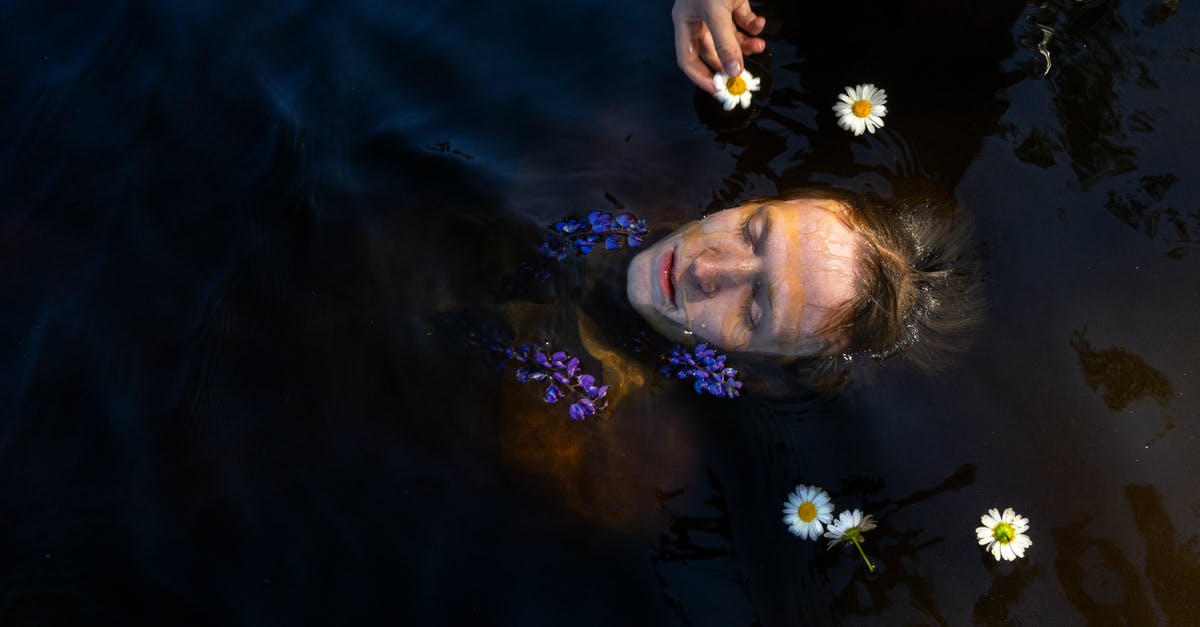 Keep chaperone walls always visible while in SteamVR? - Person swimming in water with flowers Keep chaperone walls always visible while in SteamVR? - Person swimming in water with flowers