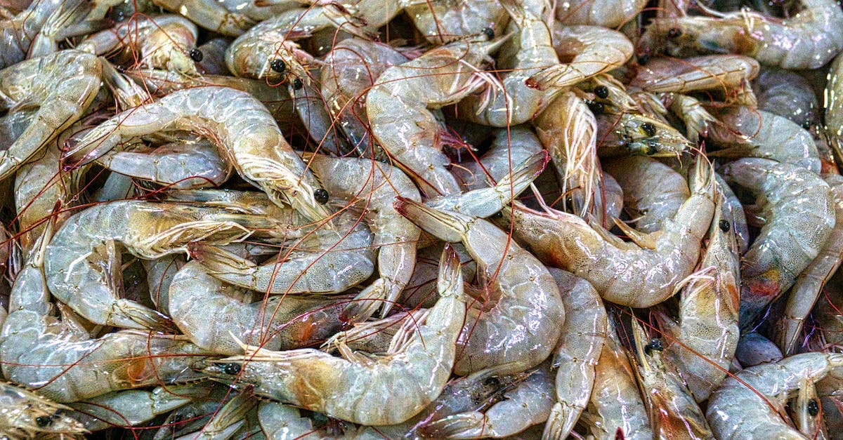 Lagging behind in levels, how do I catch up? - Fresh Prawns