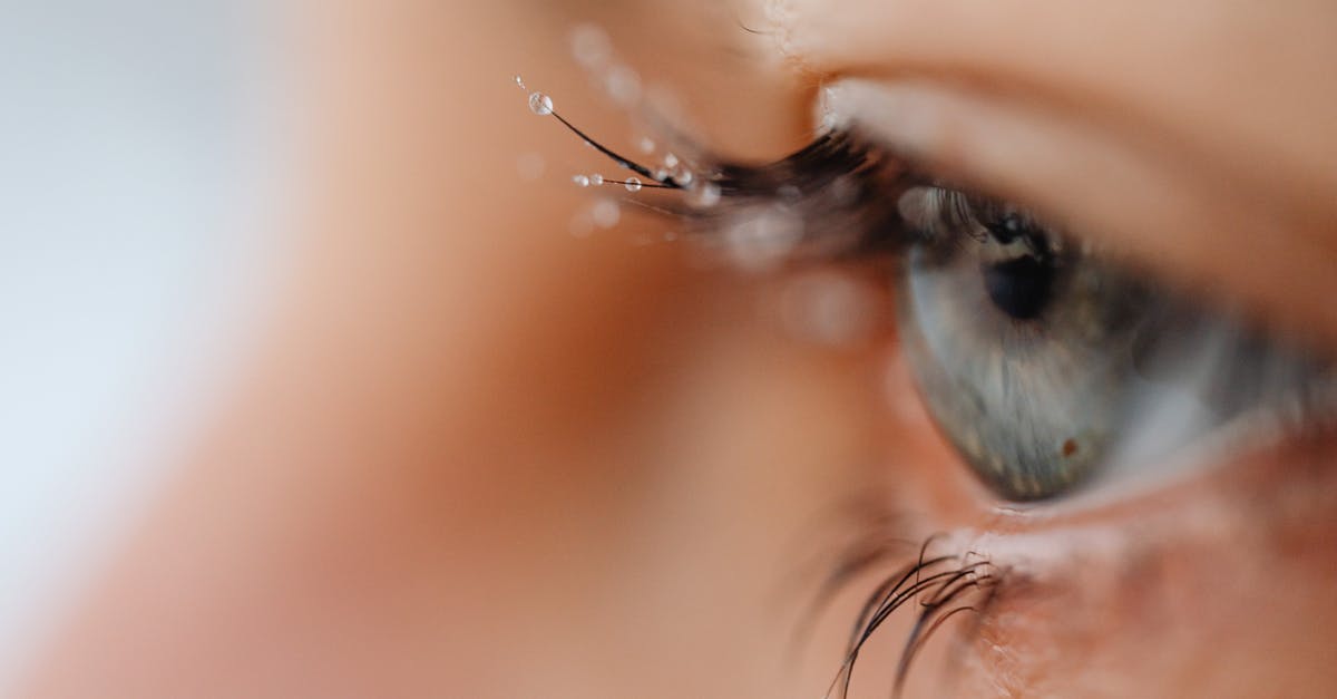 Legendary drops - Free stock photo of animal, beautiful, blur Legendary drops - Free stock photo of animal, beautiful, blur