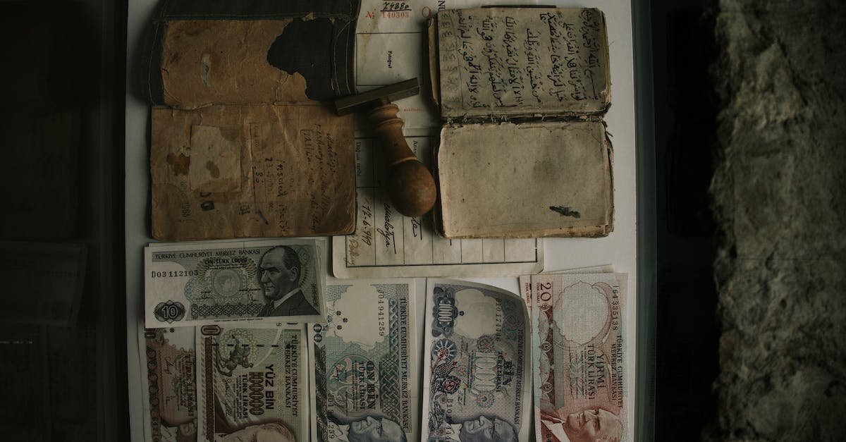 Log-on Money Bug - 10 and 5 Us Dollar Bill Log-on Money Bug - 10 and 5 Us Dollar Bill