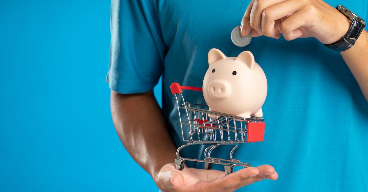 Log-on Money Bug - Person in Green T-shirt Holding Pink Pig Figurine Log-on Money Bug - Person in Green T-shirt Holding Pink Pig Figurine