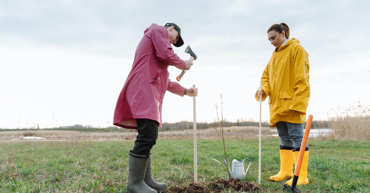 Looking for a way to spawn a chest with custom axe - A Couple Planting on Green Grass Field Looking for a way to spawn a chest with custom axe - A Couple Planting on Green Grass Field
