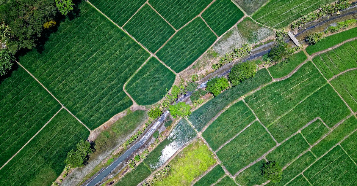 Loosing Mu's if you do the "Jetlink" on Multilayer fields - Bird's Eye View of River in Middle of Green Fields Loosing Mu's if you do the "Jetlink" on Multilayer fields - Bird's Eye View of River in Middle of Green Fields