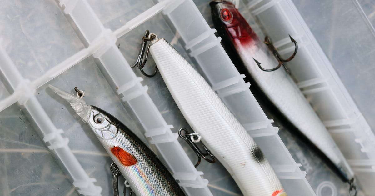 Lure module bug? - White and Black Fishing Rod Lure module bug? - White and Black Fishing Rod