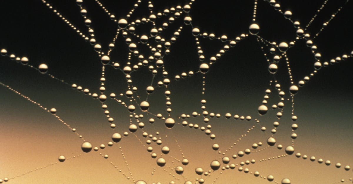 Luring goblin ambushes into my trap zone - Close-up Photography of Water Drops