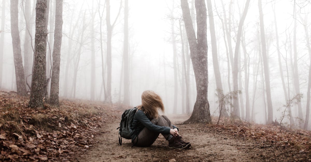 Make ground paths meet suspended paths - A Hiker Sitting on a Path in the Woods