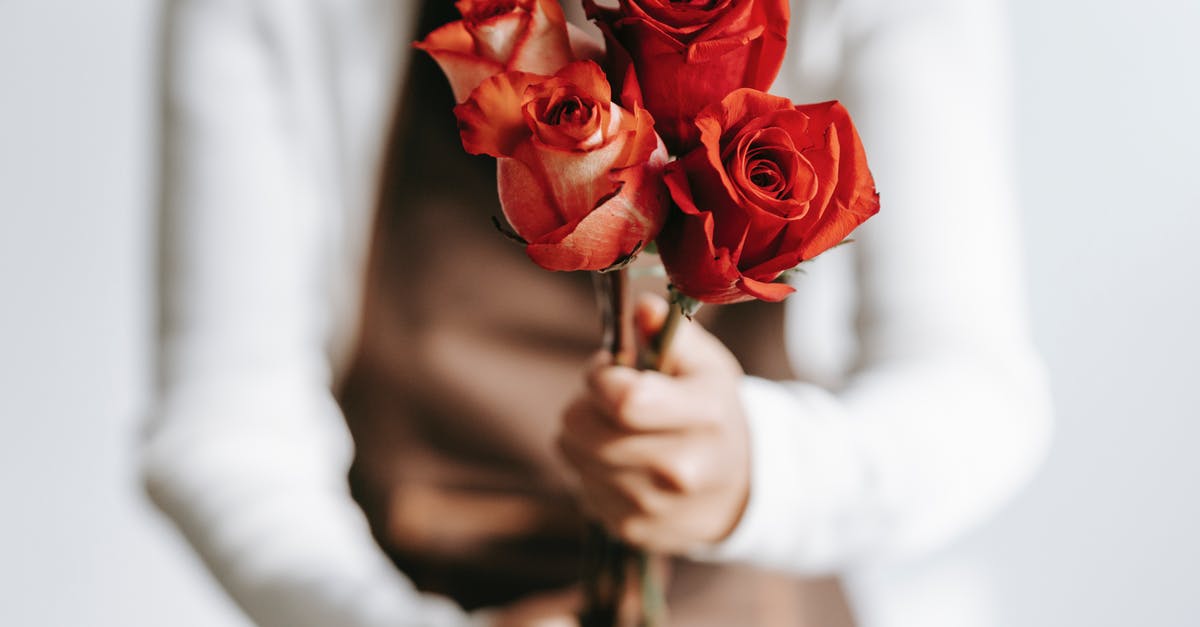 Make mushroom/fire flower blocks alternate - Woman with branches of roses in hands Make mushroom/fire flower blocks alternate - Woman with branches of roses in hands