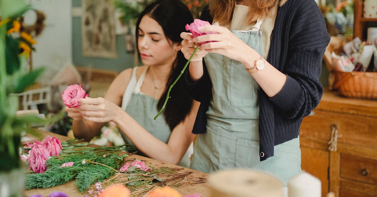 Make mushroom/fire flower blocks alternate - Positive young female florists wearing aprons removing leaves from flower stems before arranging bouquet in modern floristry store Make mushroom/fire flower blocks alternate - Positive young female florists wearing aprons removing leaves from flower stems before arranging bouquet in modern floristry store